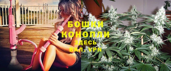 каннабис Аркадак